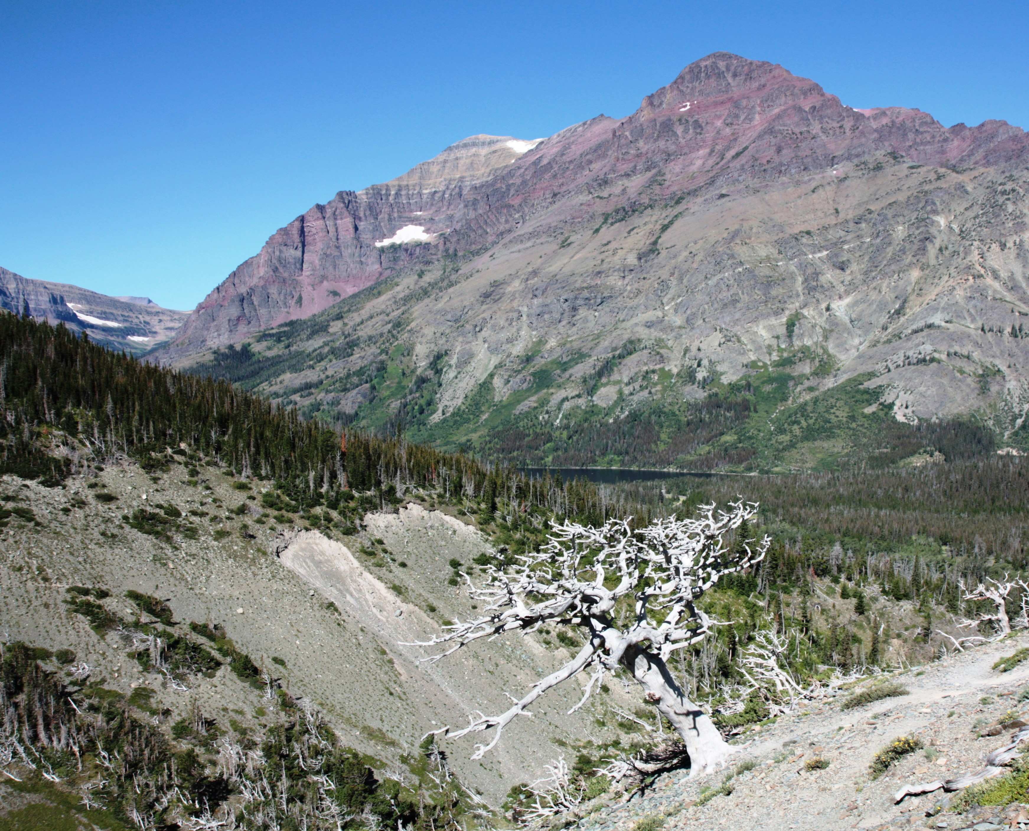 Glacier NP, Montana